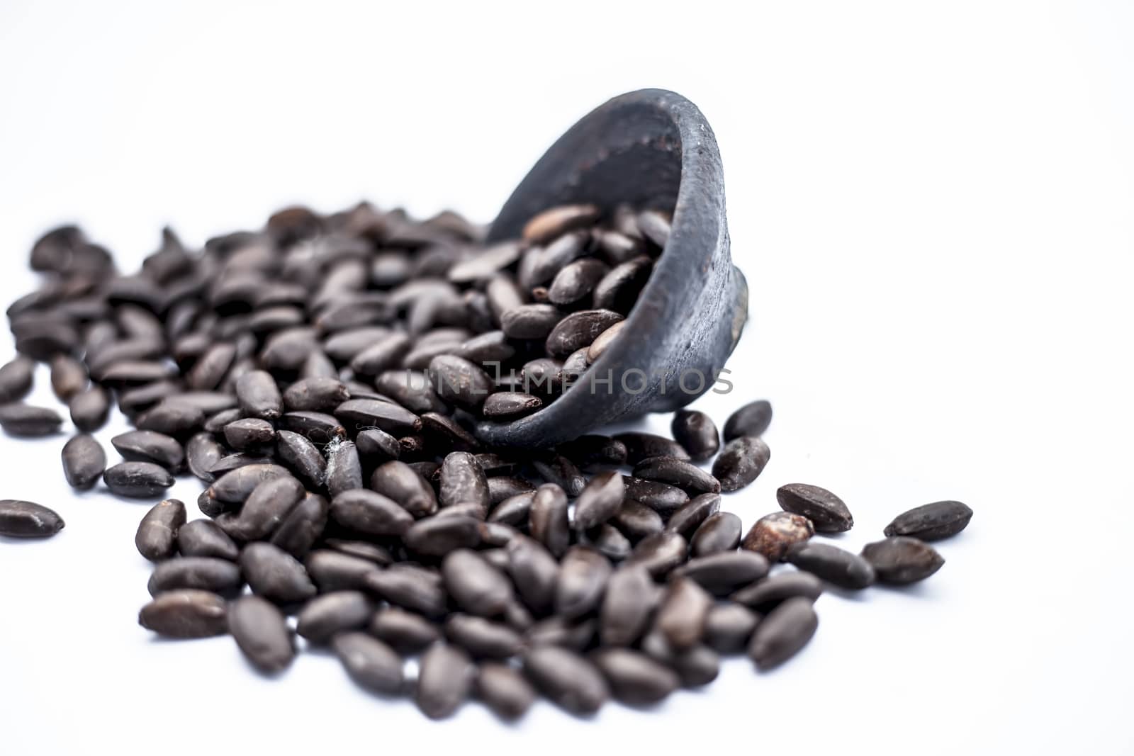 Close up of brown colored dried custard apples or sitaphal or sugar apple seeds in a black colored clay bowl isolated on white.