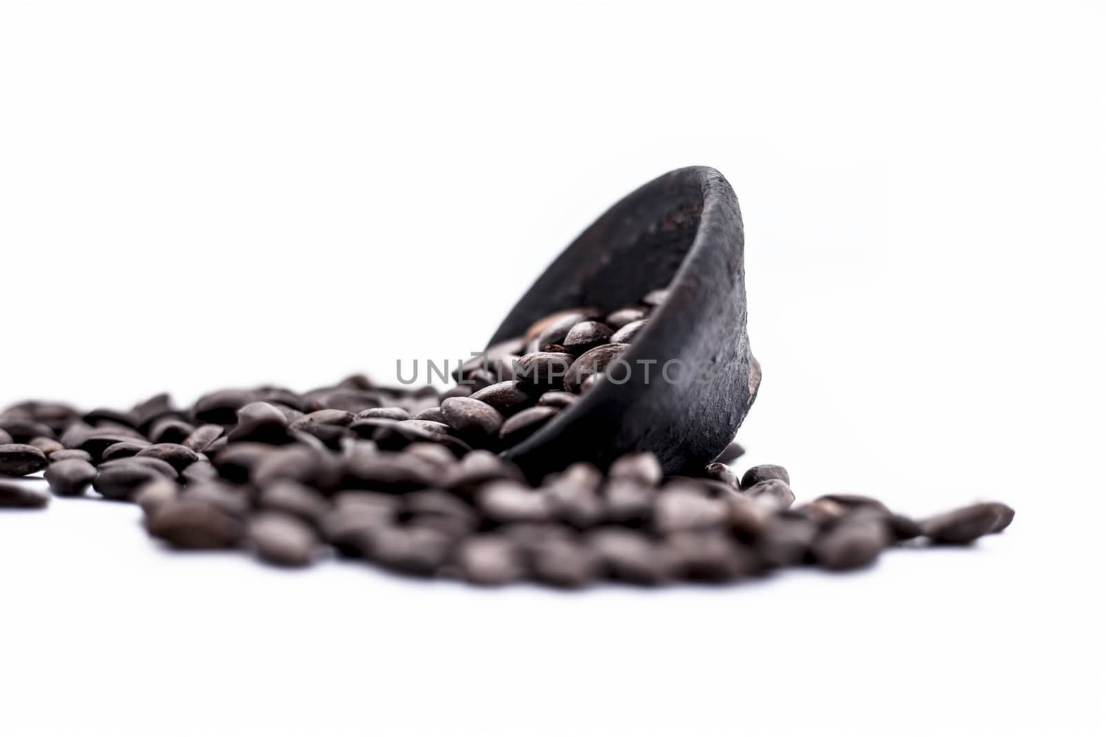 Close up of brown colored dried custard apples or sitaphal or sugar apple seeds in a black colored clay bowl isolated on white.