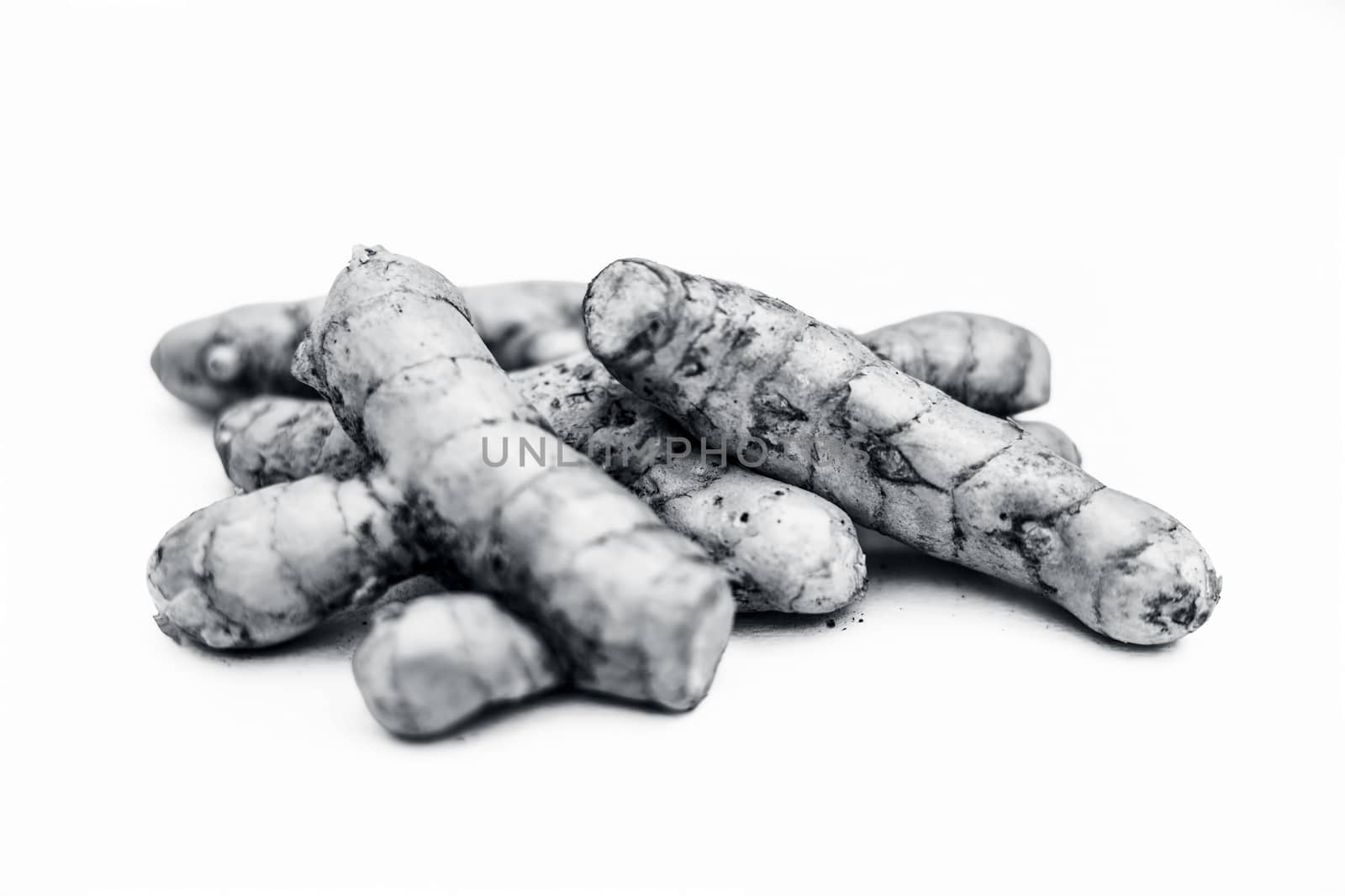 Close up of raw fresh organic ginger isolated on white also knwon as adrak or Zingiber officinale.