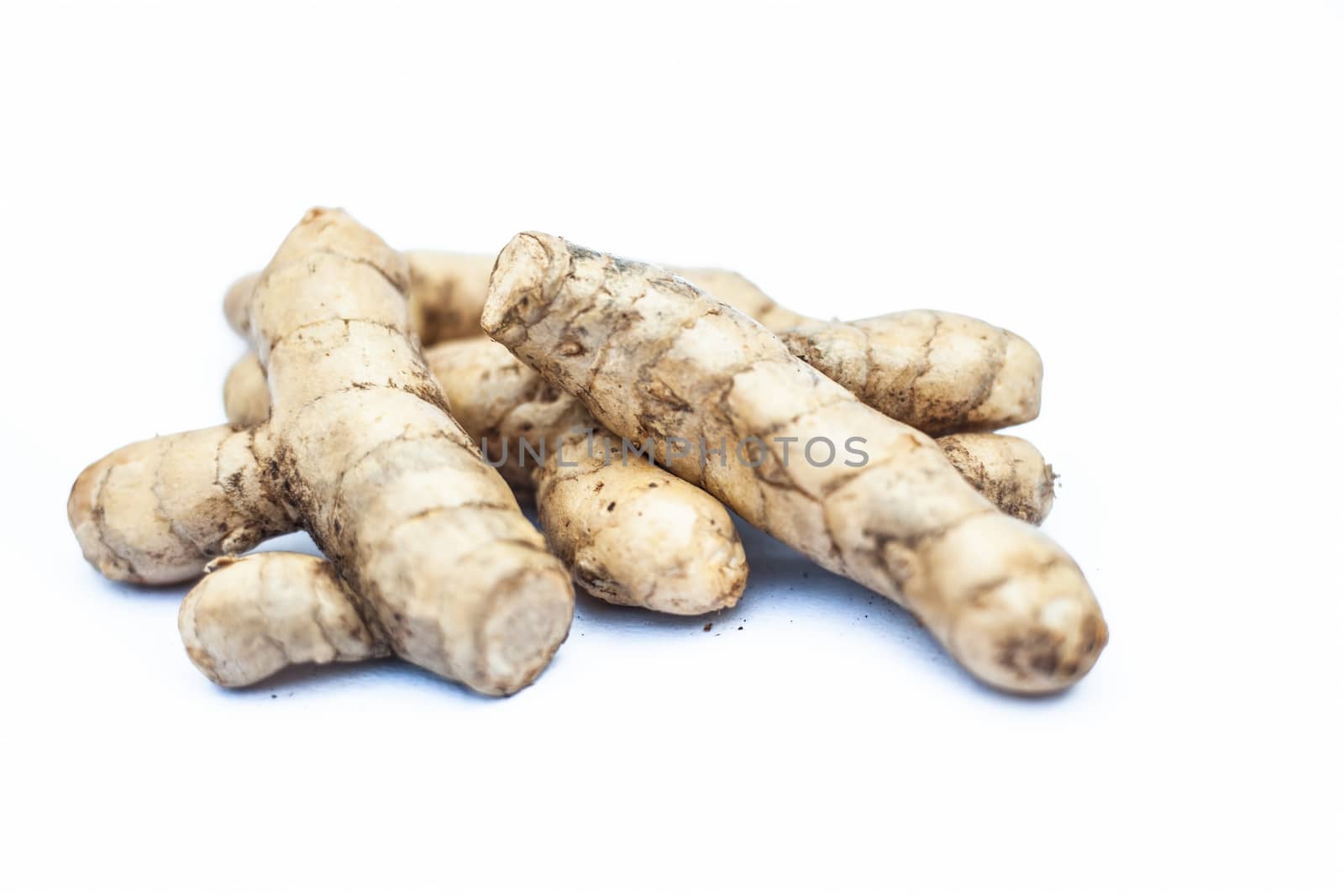 Close up of raw fresh organic ginger isolated on white also knwon as adrak or Zingiber officinale.