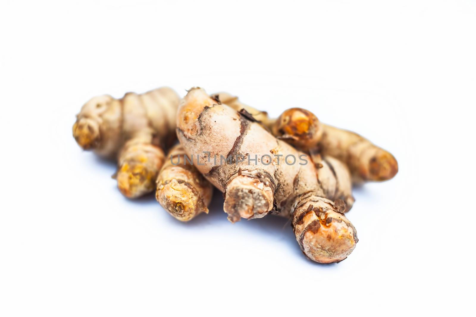 Close up of popular Indian &amp; Asian raw organic herb or ayurvedic herb isolated on white i.e. Amba haldi or Mango ginger or white ginger or Curcuma amada.