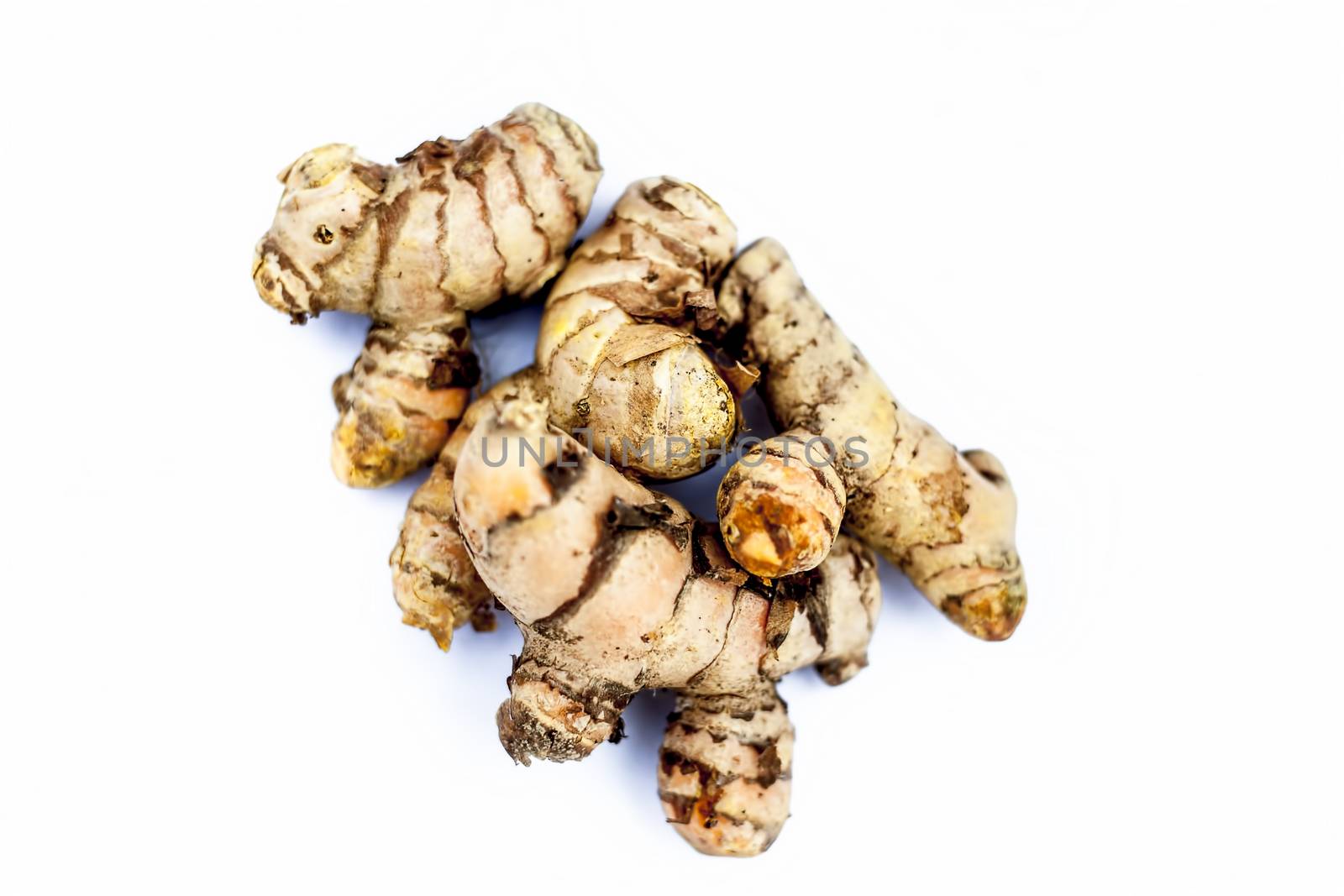 Close up of popular Indian &amp; Asian raw organic herb or ayurvedic herb isolated on white i.e. Amba haldi or Mango ginger or white ginger or Curcuma amada.