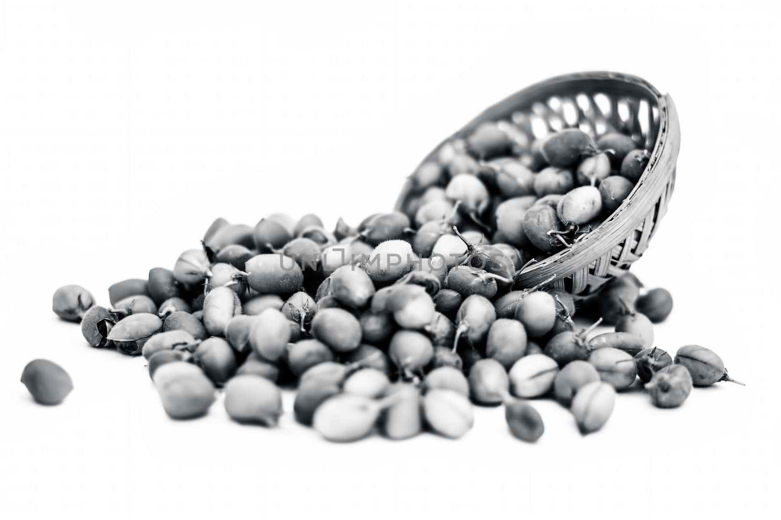 Ginjua or gingua or chick peas or chick pods or Egyptian beans in a clay bowl isolated on white.