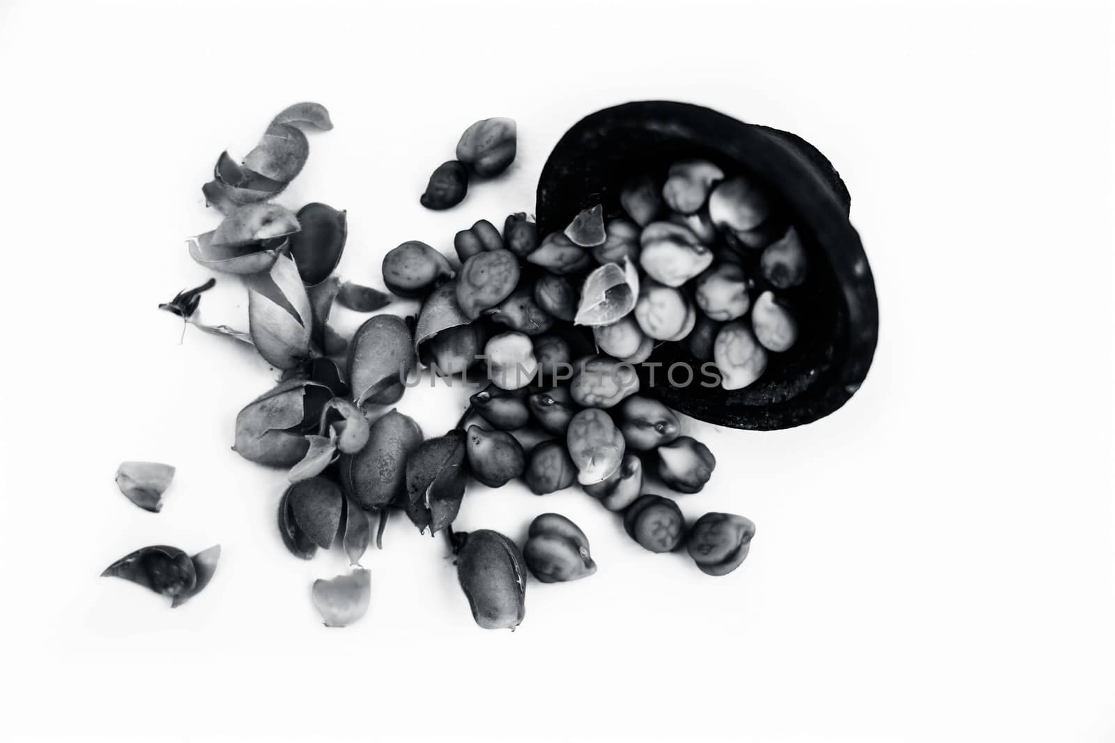 Ginjua or gingua or chick peas or chick pods or Egyptian beans in a clay bowl isolated on white.
