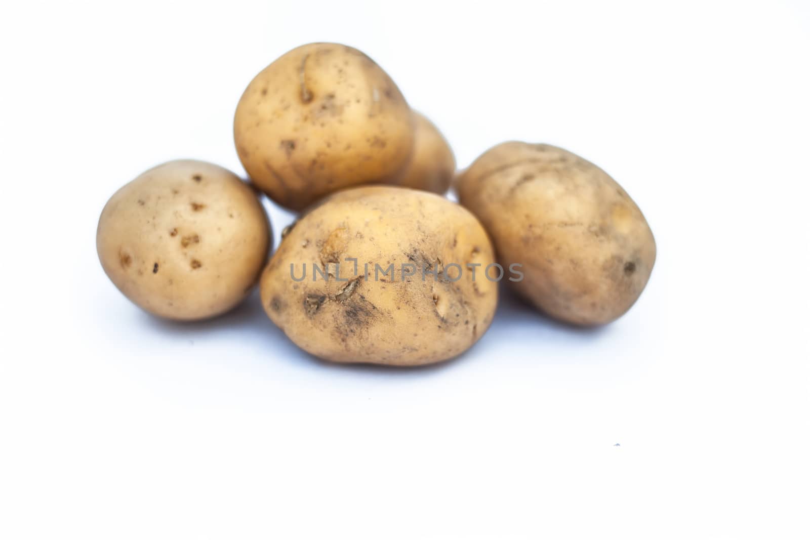 Close up of raw organic potato or Solanum tuberosumor aaloo or alu isolated on white. by mirzamlk