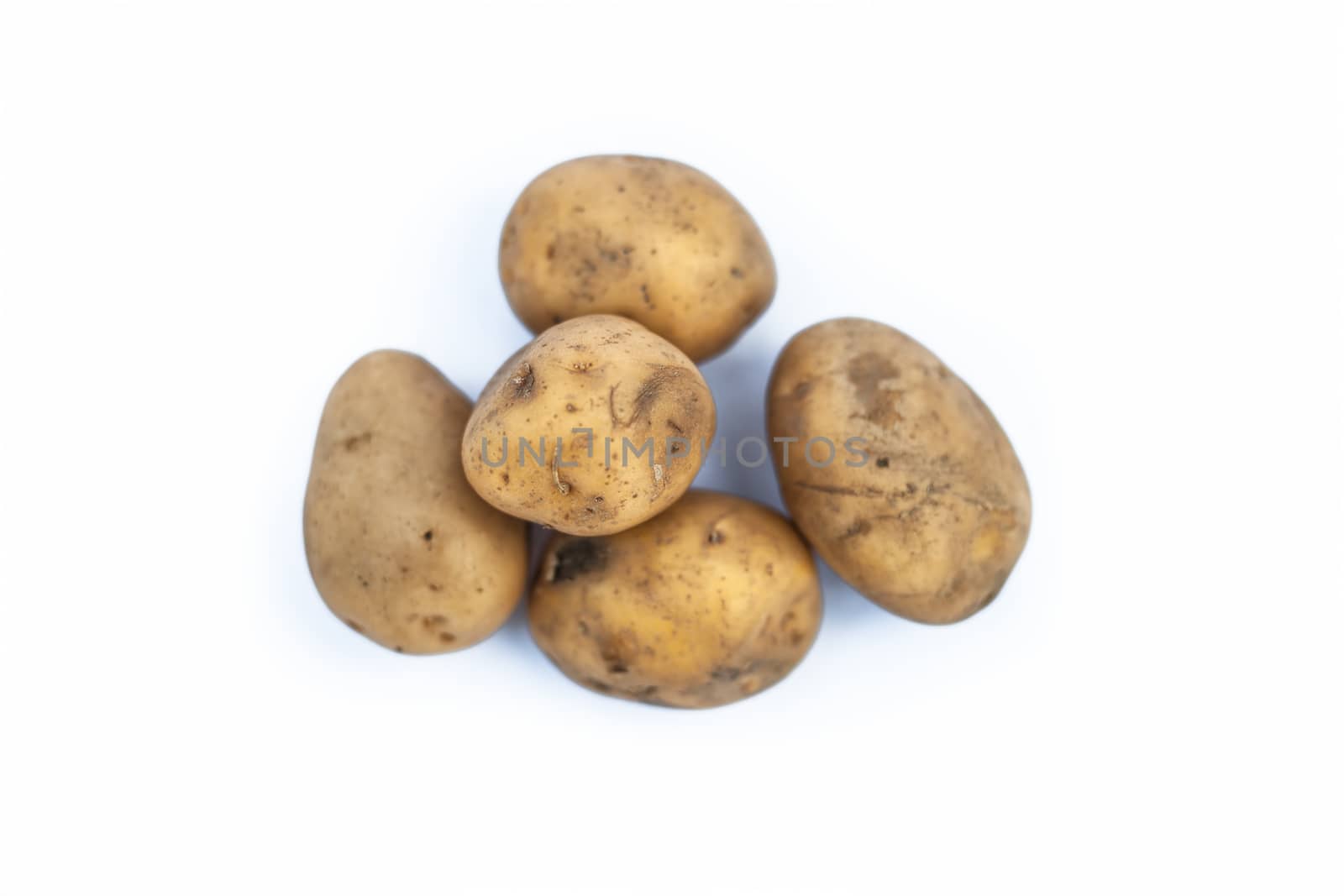 Close up of raw organic potato or Solanum tuberosumor aaloo or alu isolated on white. by mirzamlk