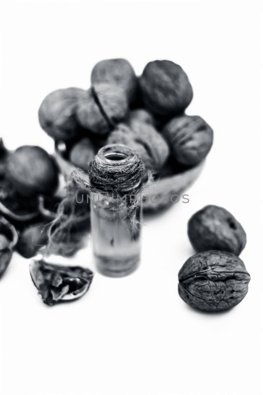 Close up of essential oil or essence of walnut or akhrot isolated on white in a small transparent glass bottle along with raw in shell walnuts or Juglans.