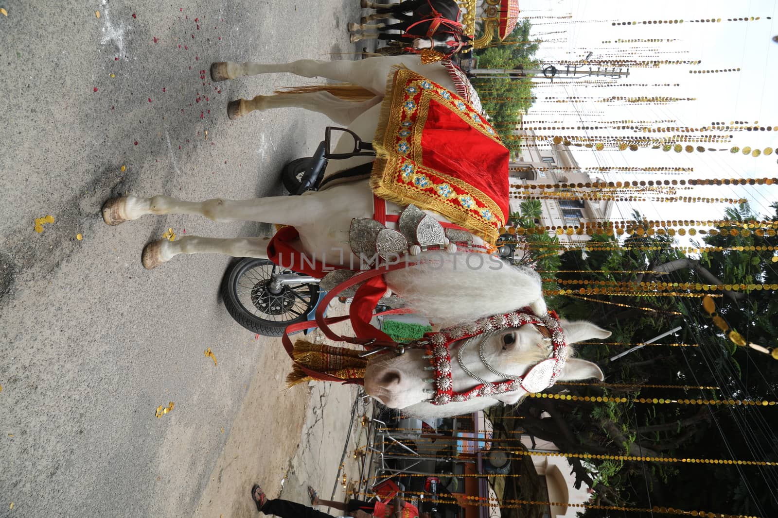 Horse Decoration in a wedding
