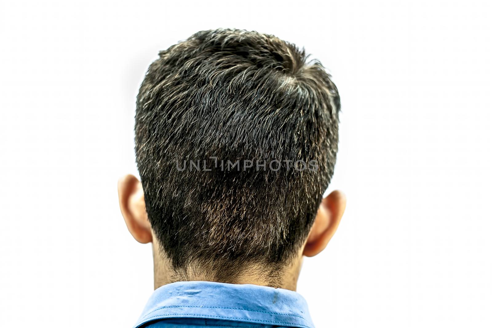 Backside shot of a young teenager affected by premature Grey isolated on white.