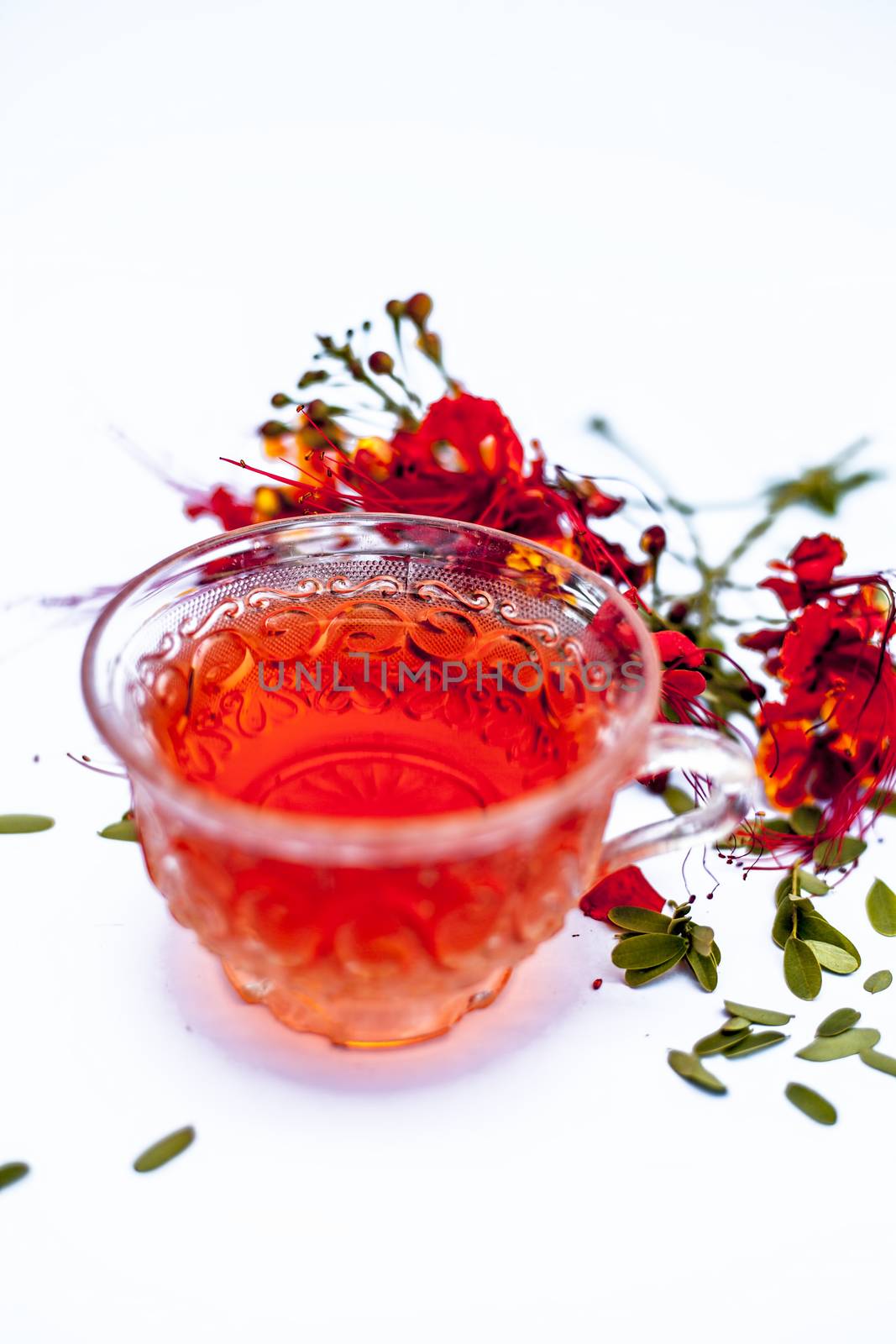 Close up of orange colored herbal floral tea of peacock flower or Caesalpinia pulcherrima in a transparent cup along with raw flower isolated on white.