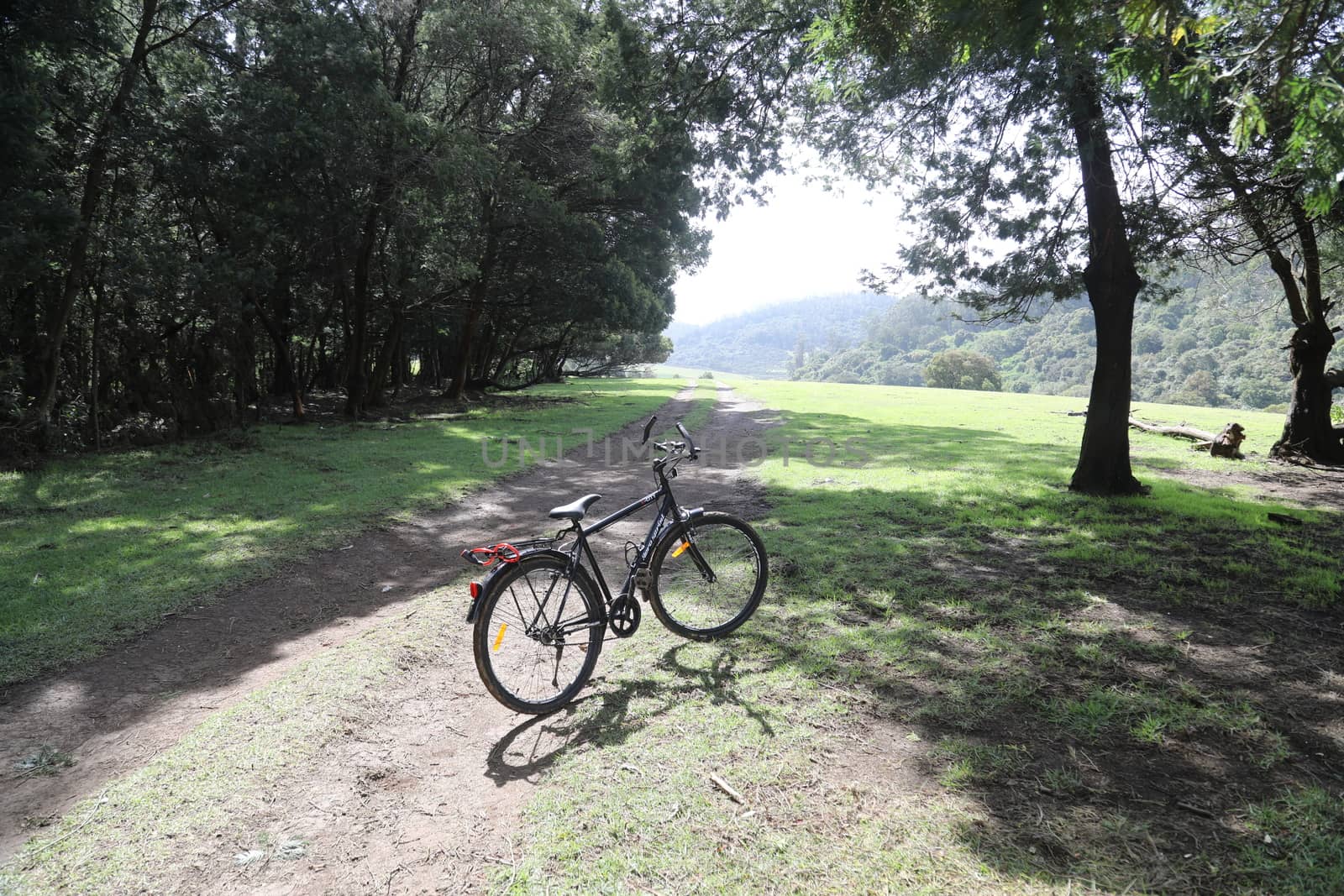 Location Ooty Hill station India