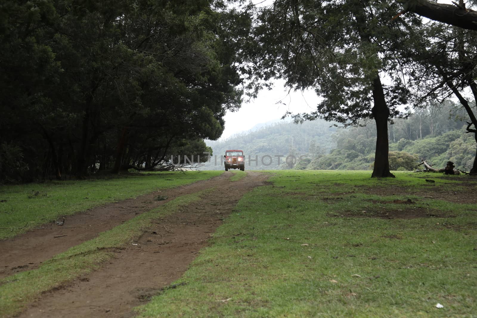 Location Ooty Hill station India
