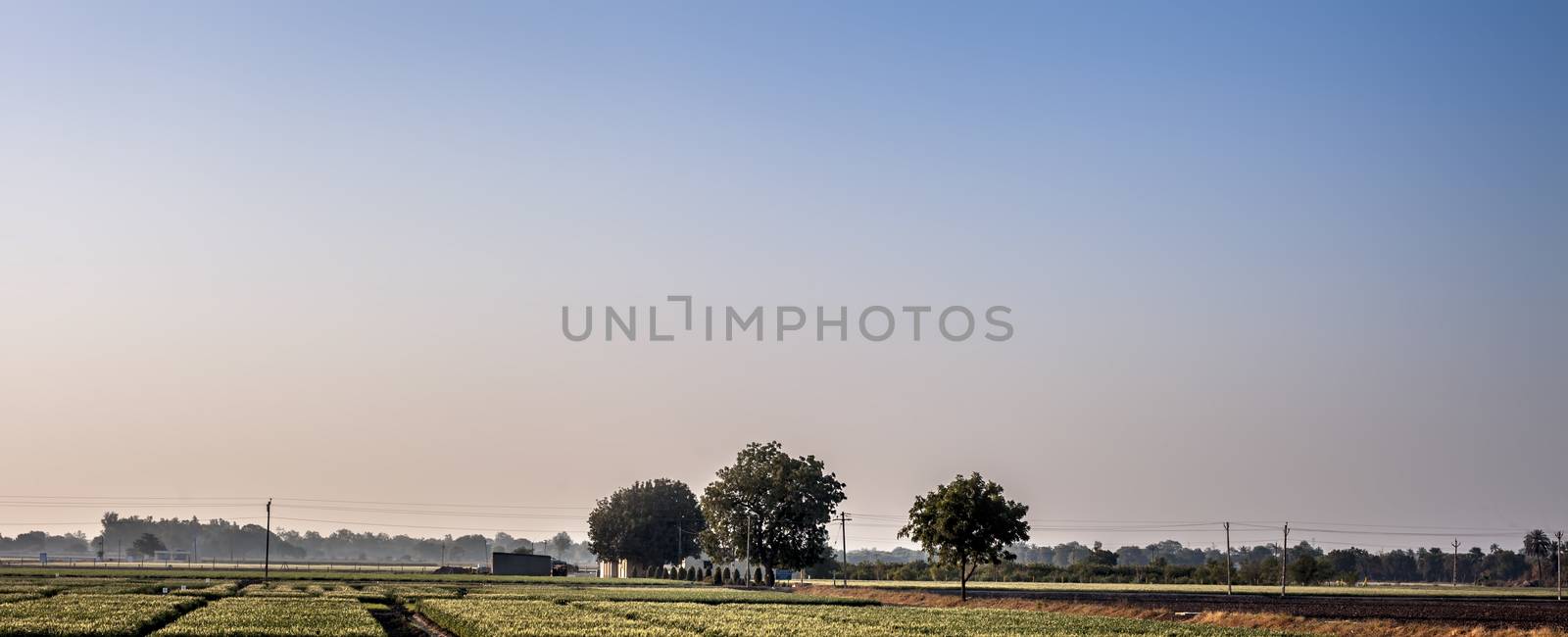 Empty fields wide angle landscape view of fields with some trees and vegetations. by mirzamlk