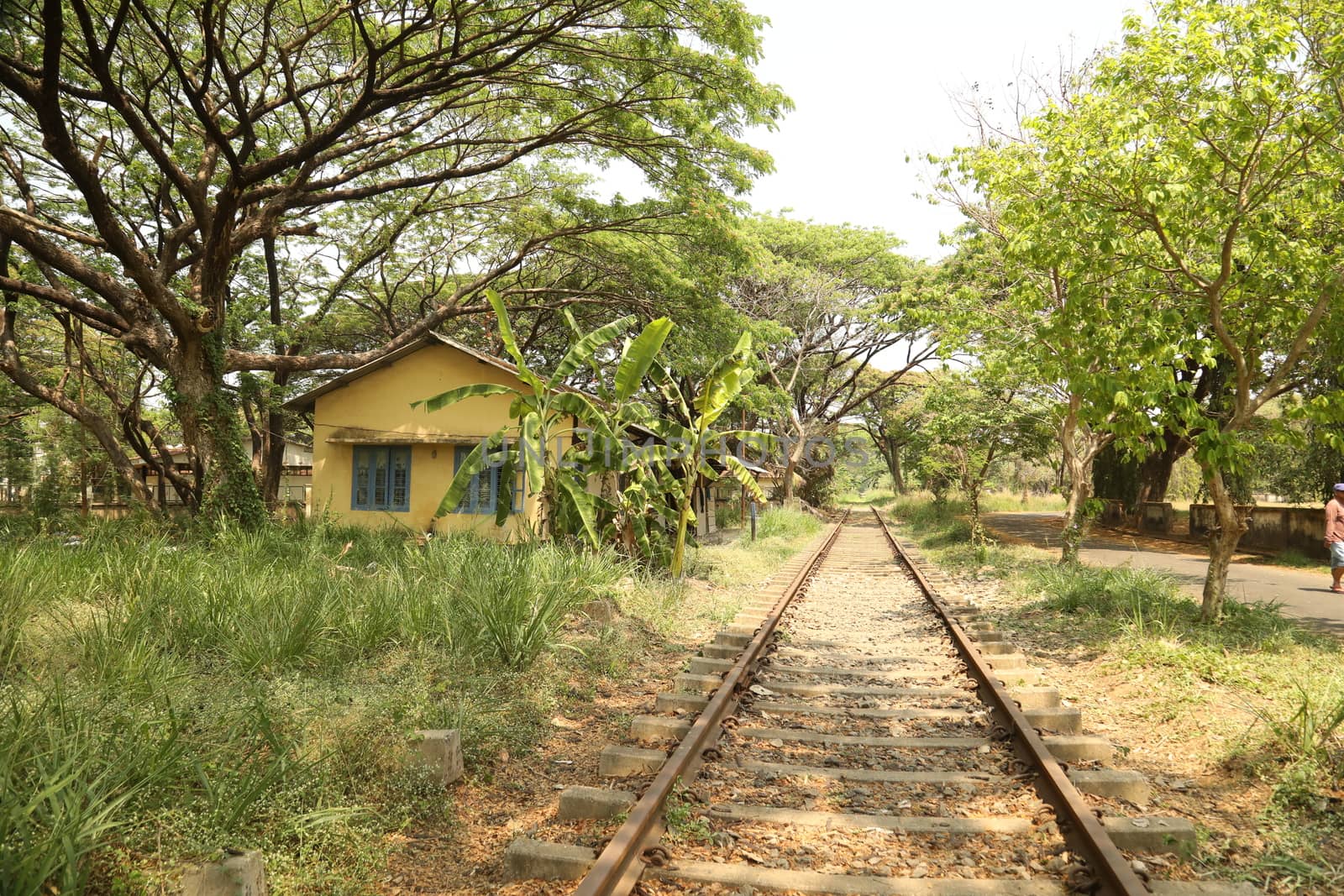 Rural area India