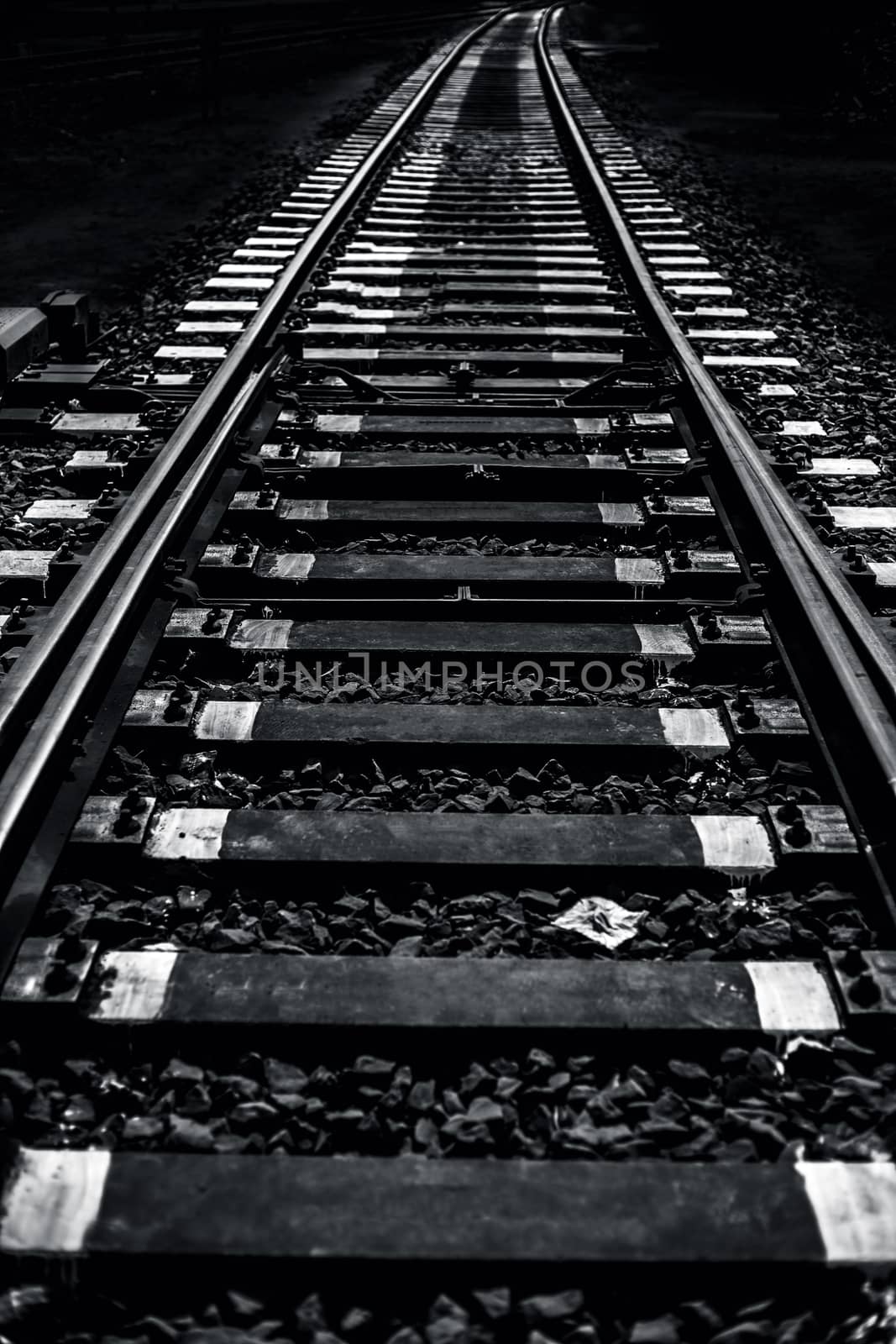 Close up of railway tracks passing or running straight through a forest type area with having surroundings dried out.