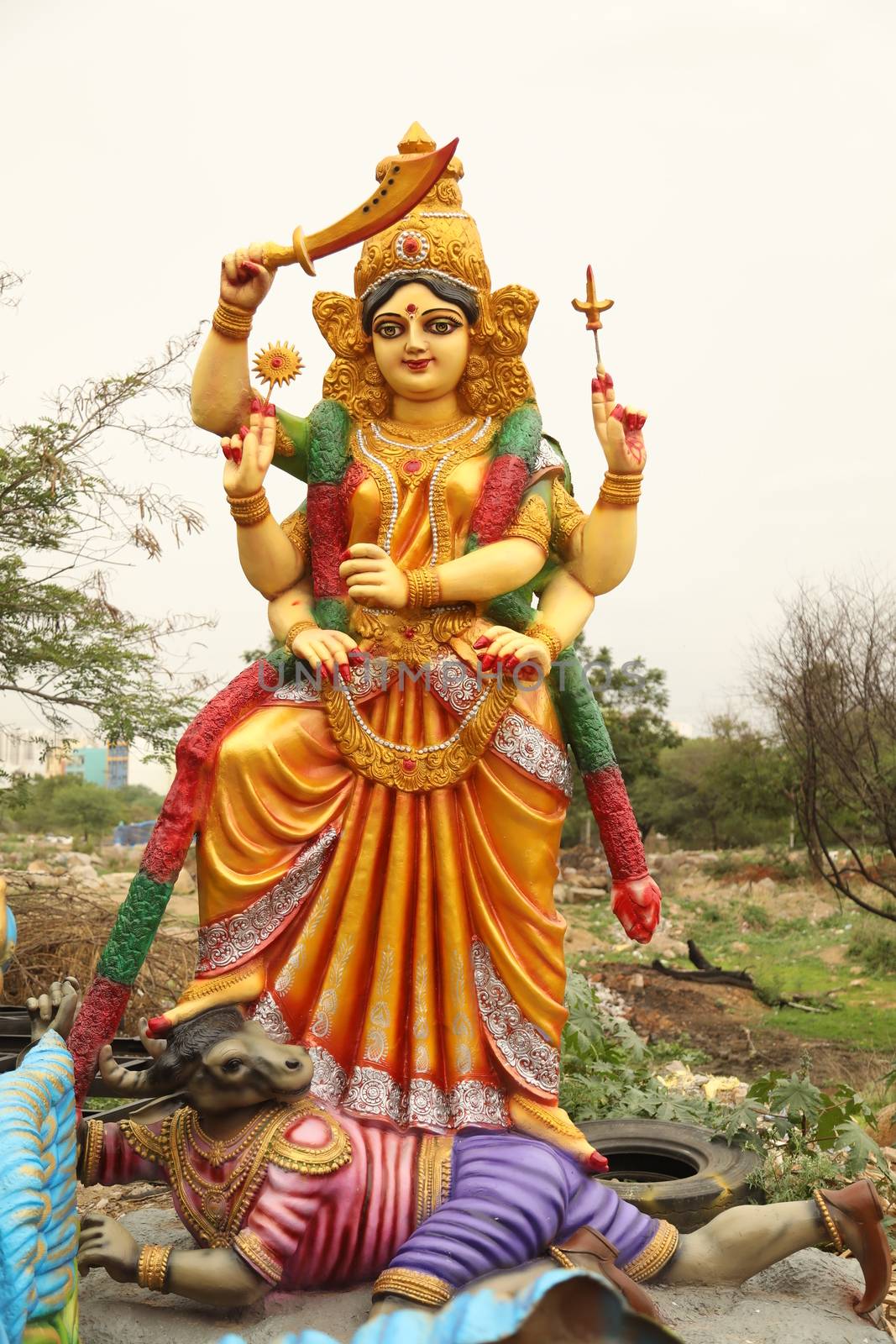 Hindu God Statue in a Temple