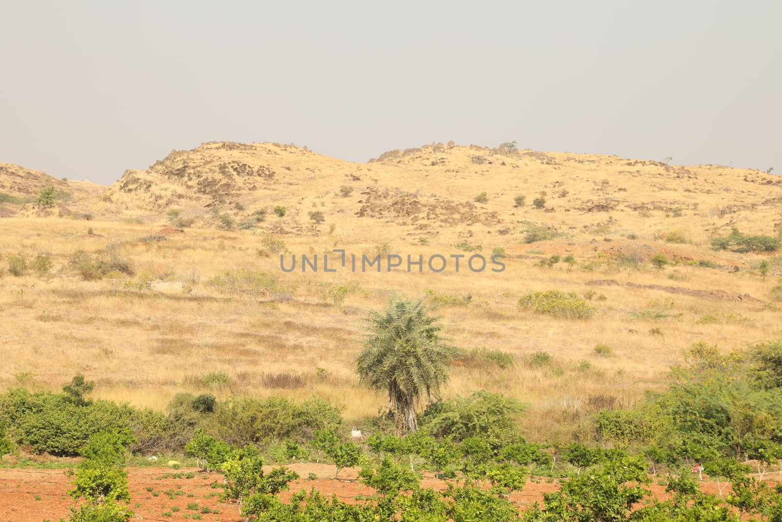 MPR Dam near Anantapur Andhra Pradesh India