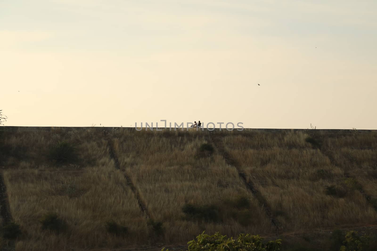 Silhouette of people on hill