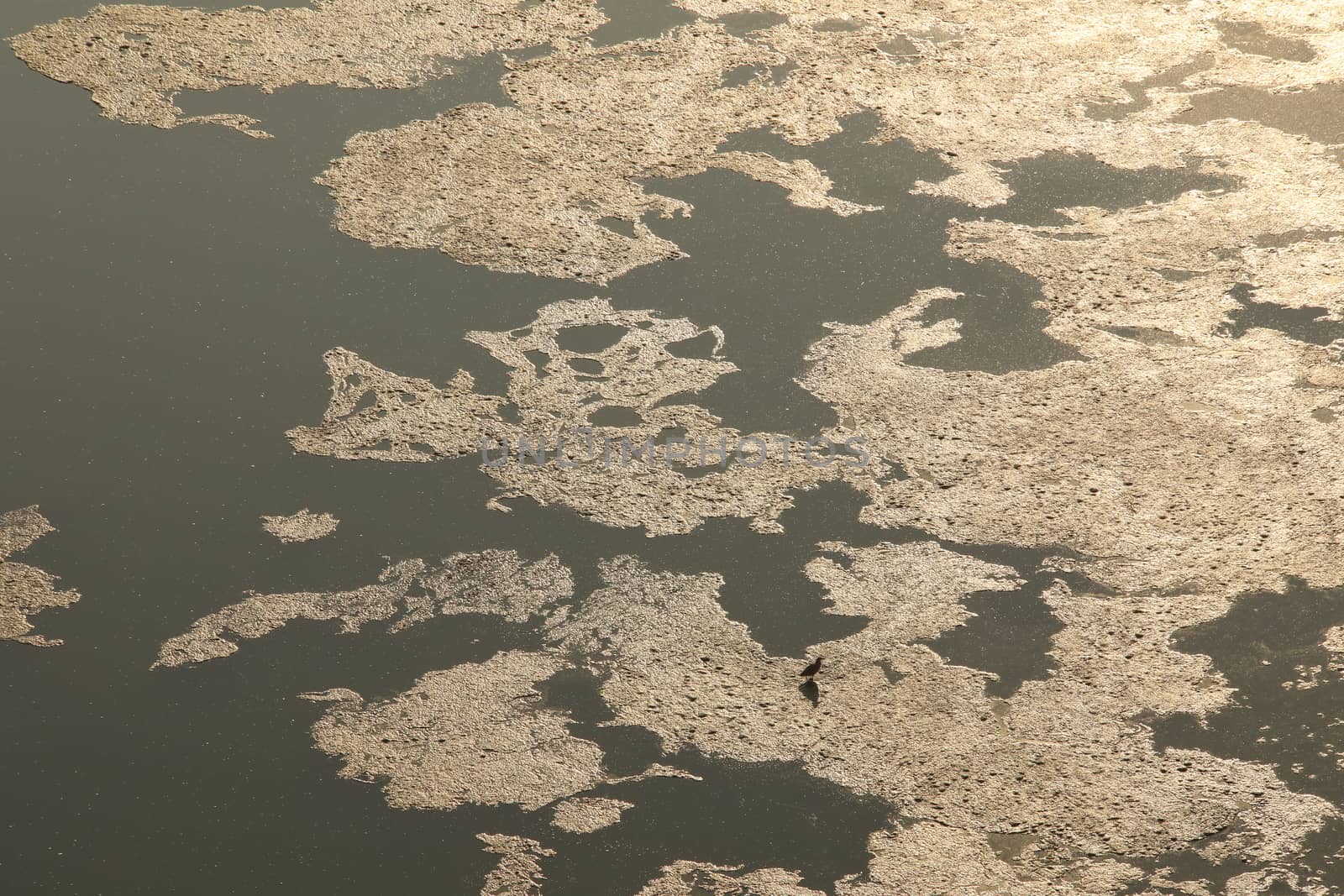 Water Slashes at Dam