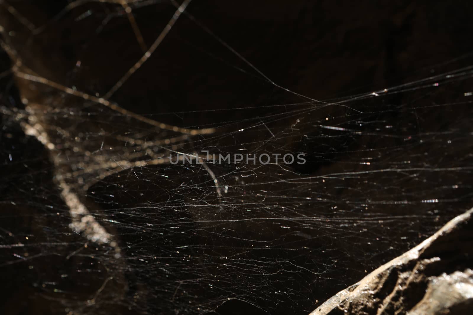 Rock Hill Texture