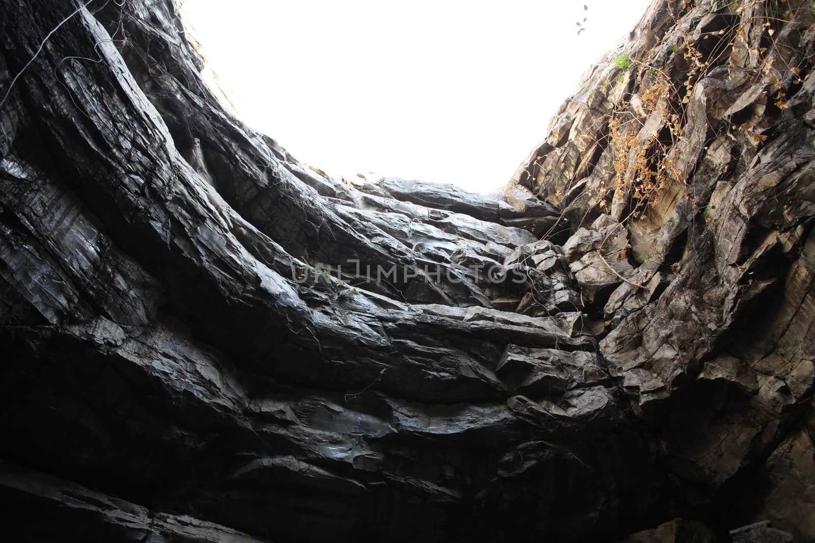 Rock Hill Texture