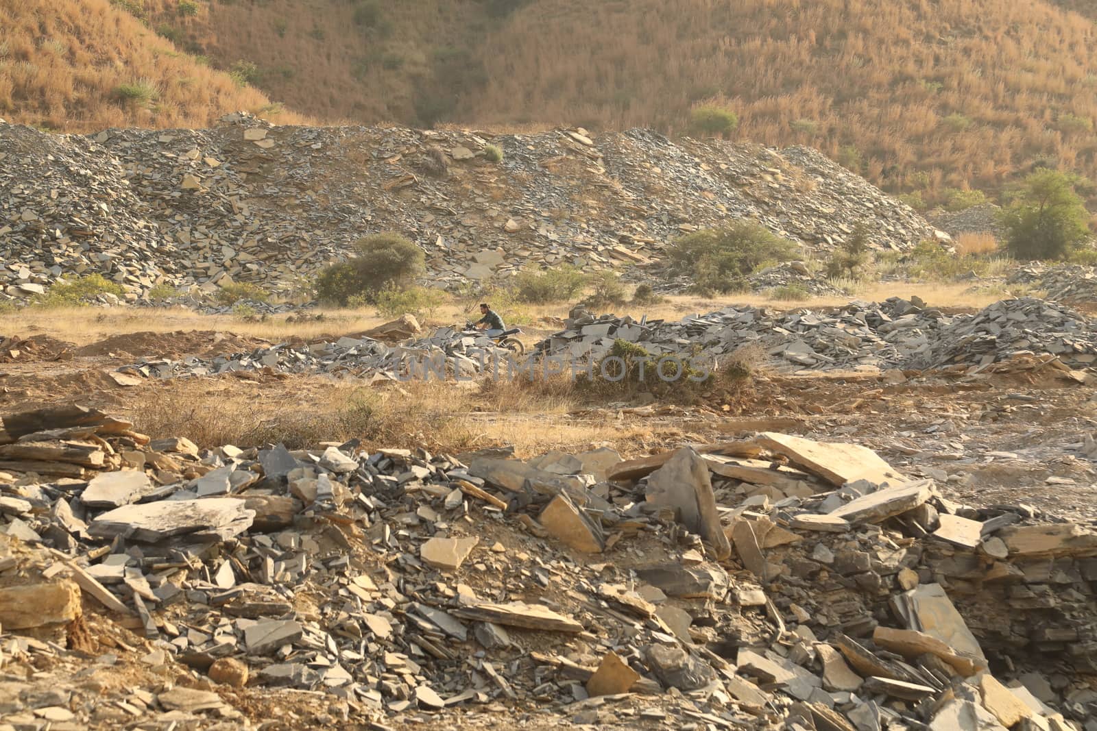 Rock Hill Texture