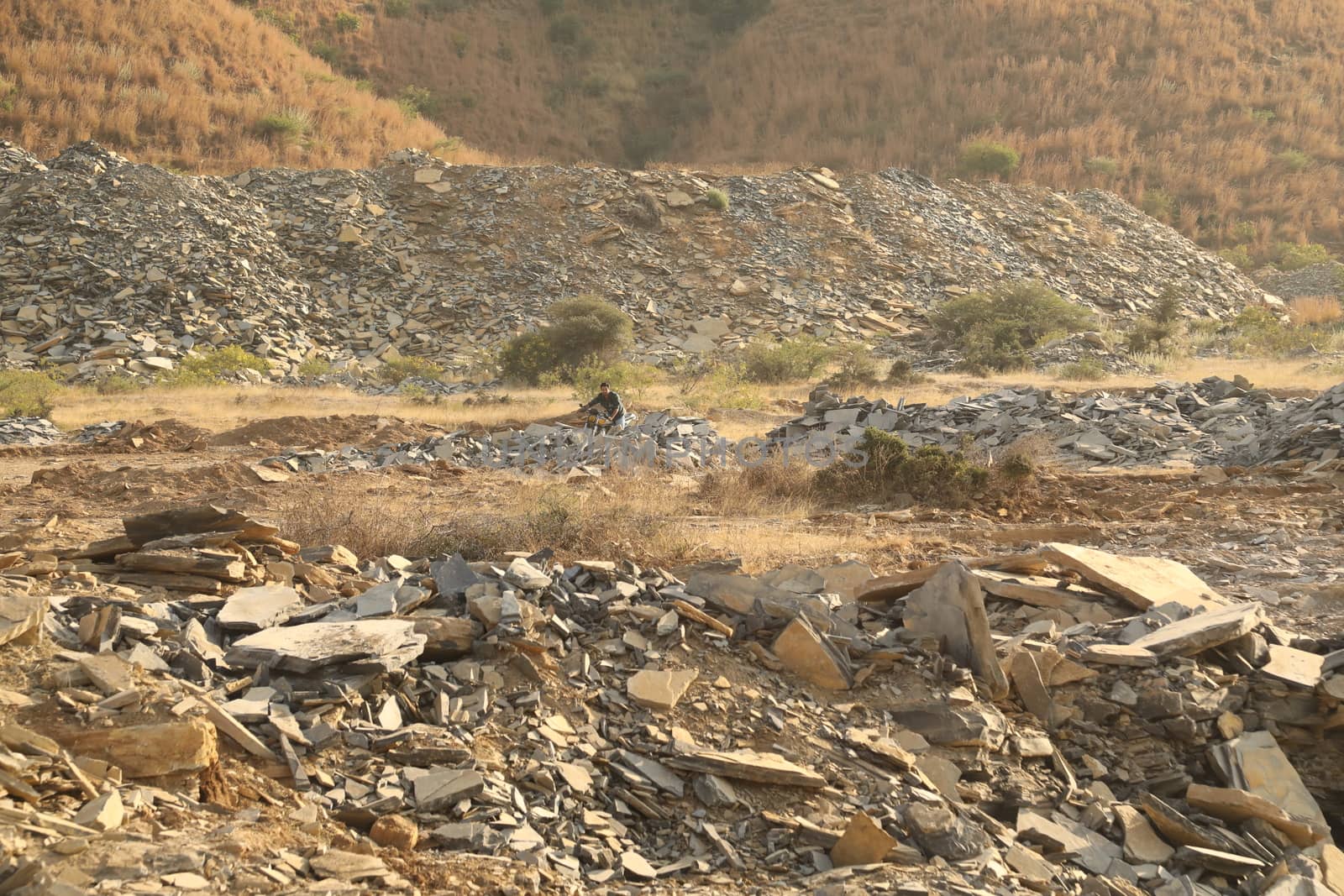 Rock Hill Texture