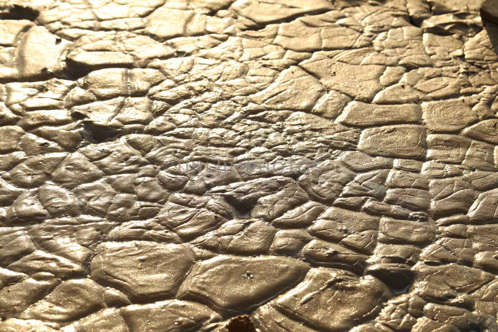 Mud Texture at Rural area
