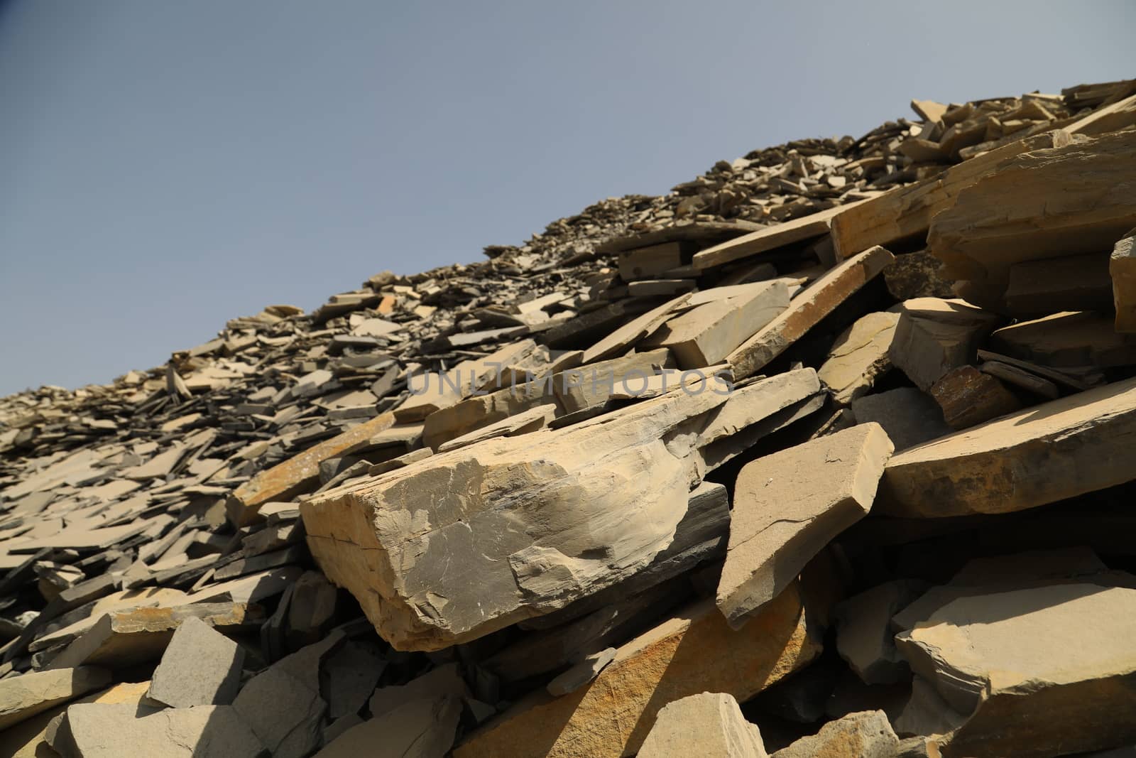 Rock Hill Texture