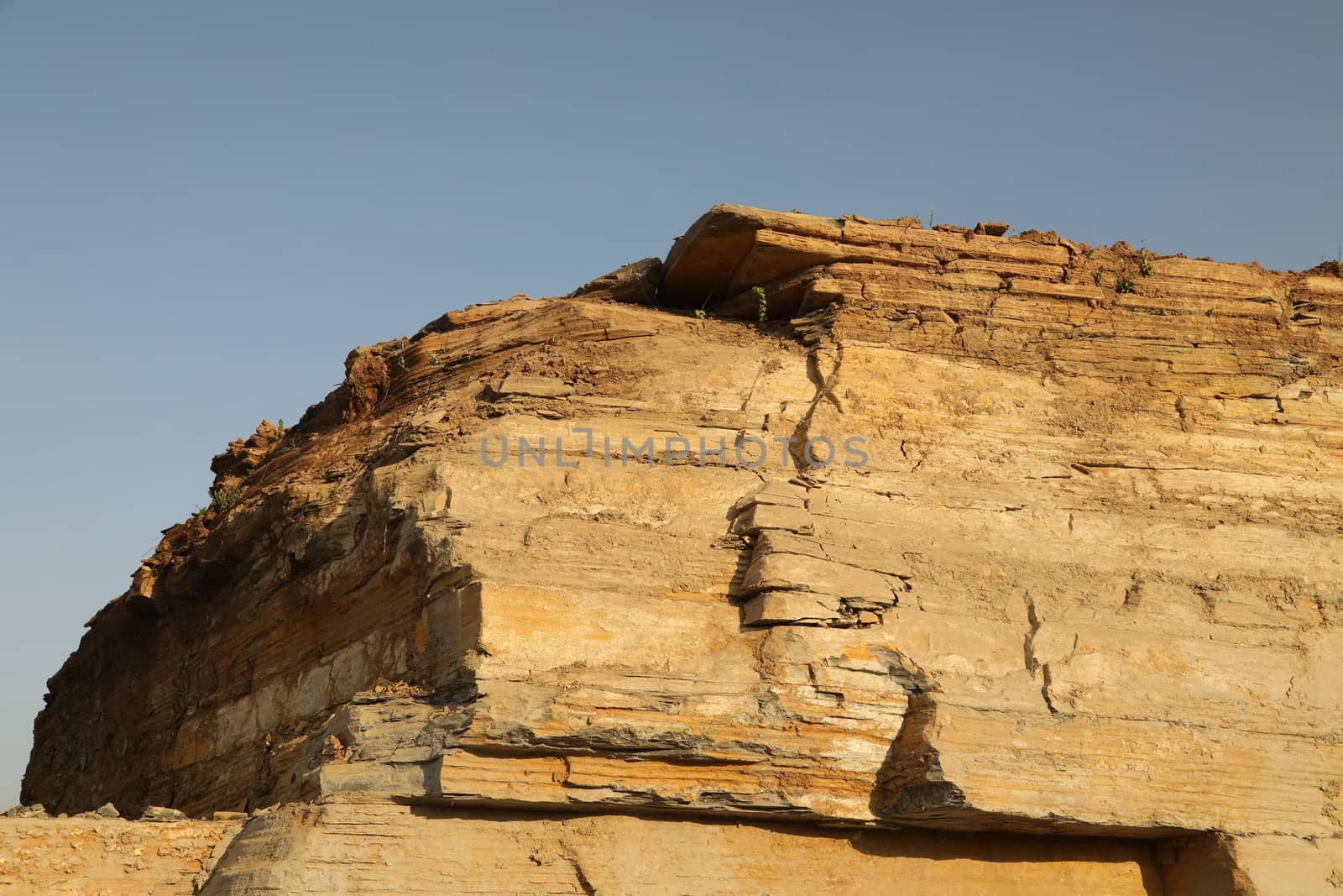 Rock Hill Texture