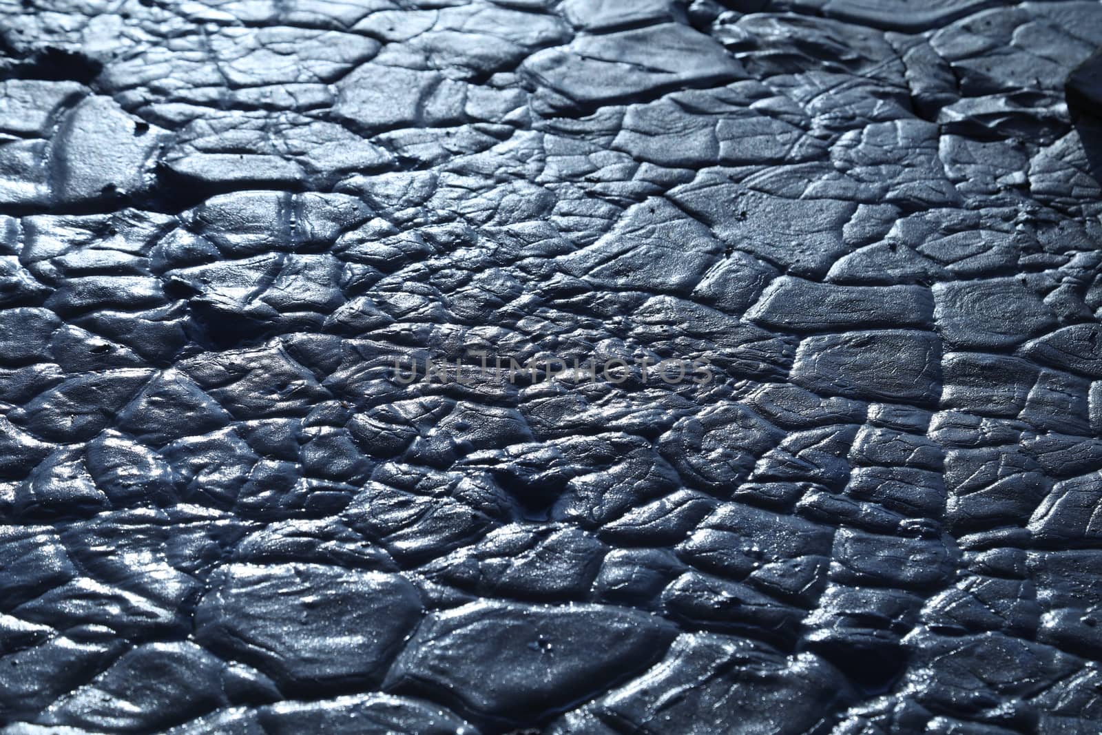 Mud Texture at Rural area