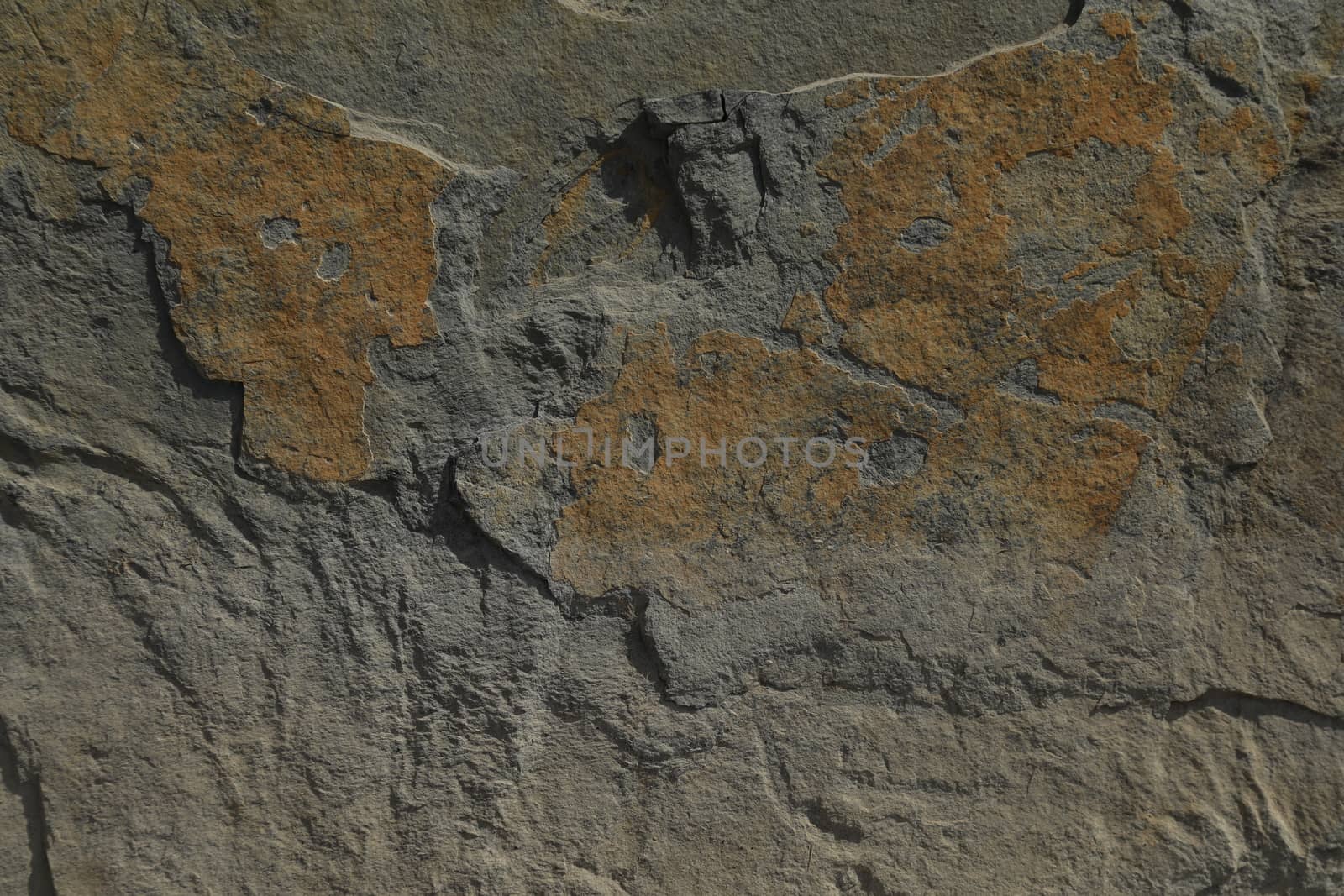 Rock Hill Texture
