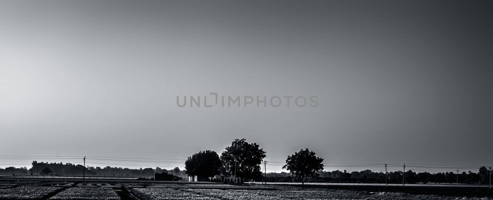 Empty fields wide angle landscape view of fields with some trees and vegetations. by mirzamlk
