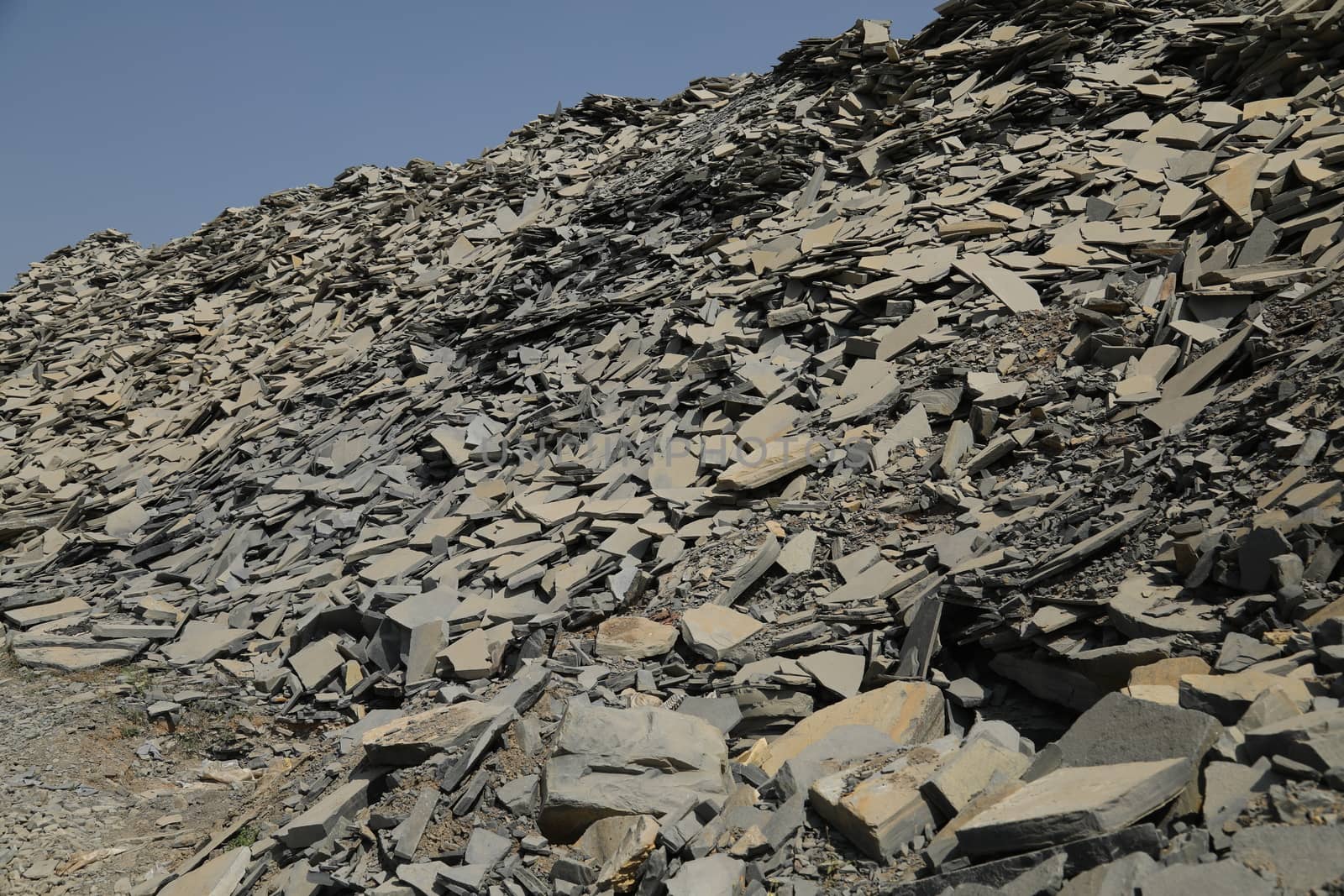 Rock Hill Texture