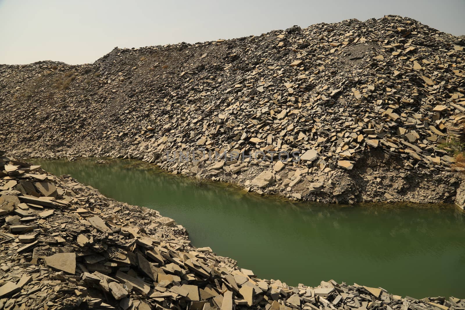 Rock Hill Texture