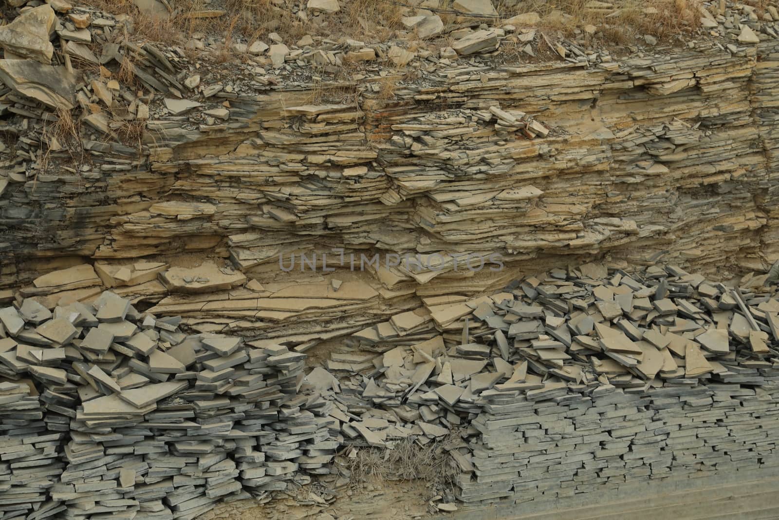 Rock Hill Texture