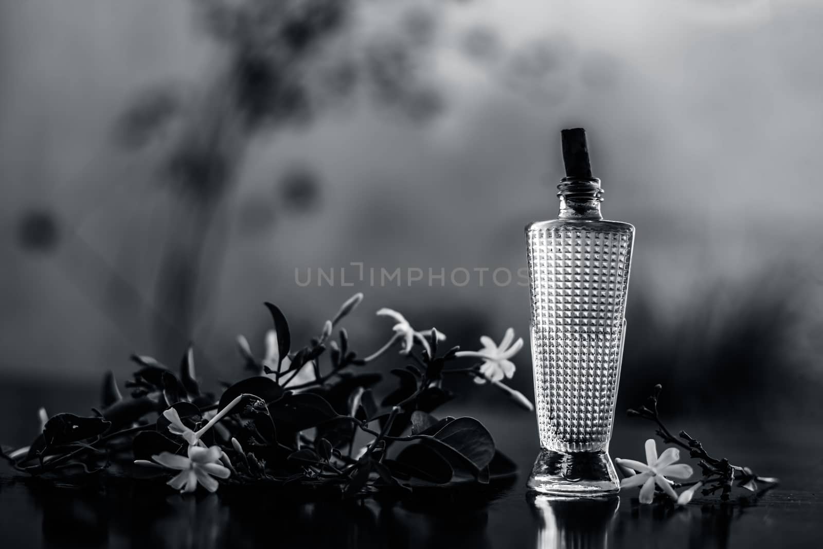 Close up of spray or perfume of Indian jasmine flower or juhi or Jasminum Auriculatum on wooden surface in a small bottle with raw flowers.