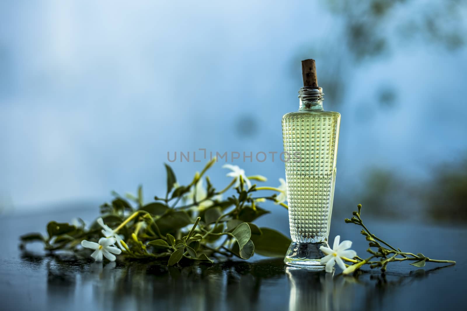 Close up of spray or perfume of Indian jasmine flower or juhi or Jasminum Auriculatum on wooden surface in a small bottle with raw flowers.