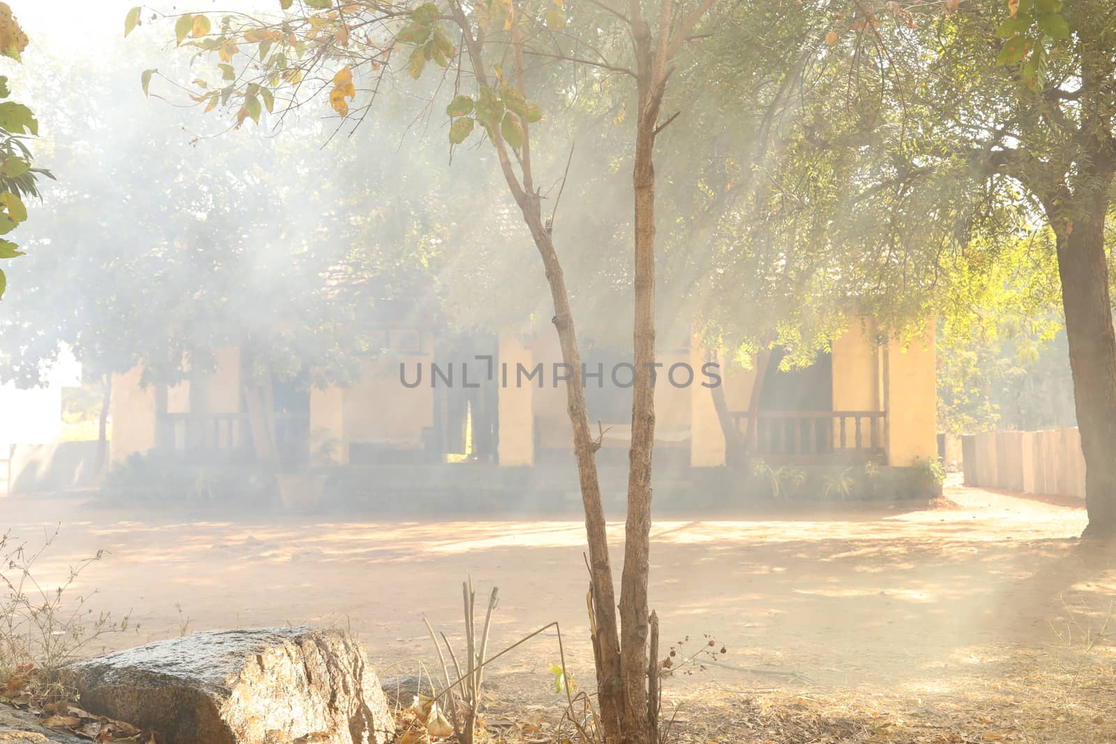 Rural area India
