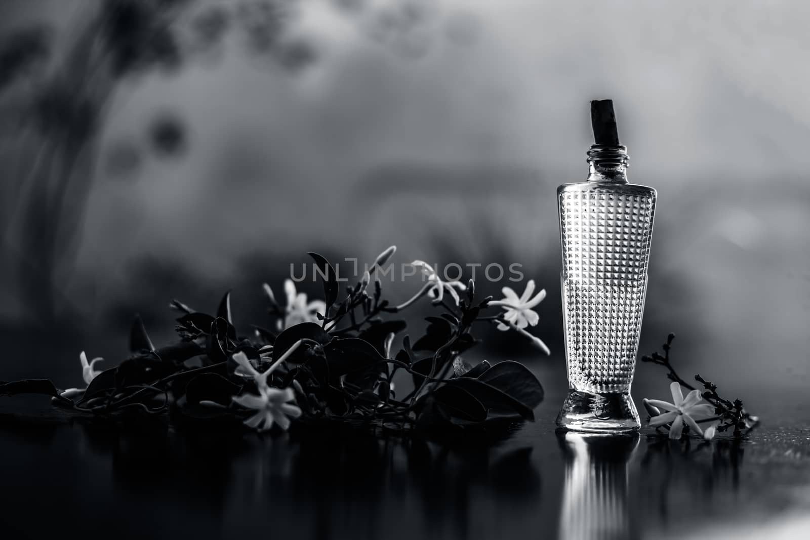 Close up of spray or perfume of Indian jasmine flower or juhi or Jasminum Auriculatum on wooden surface in a small bottle with raw flowers.