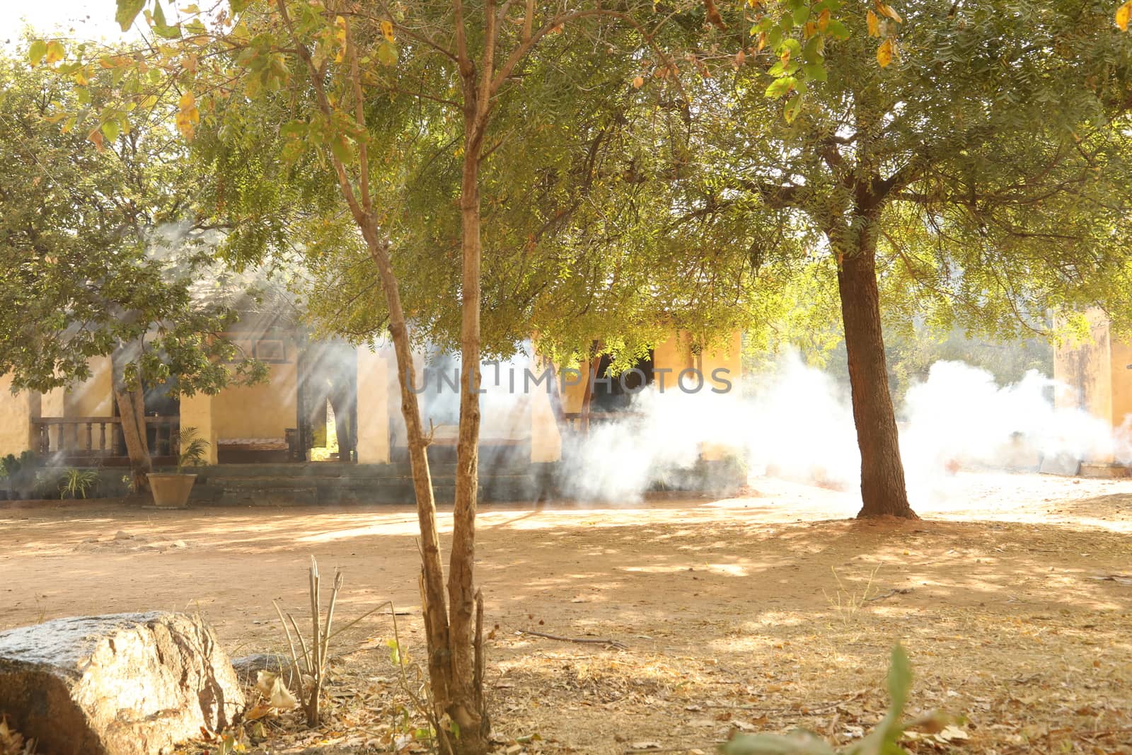 Rural area India