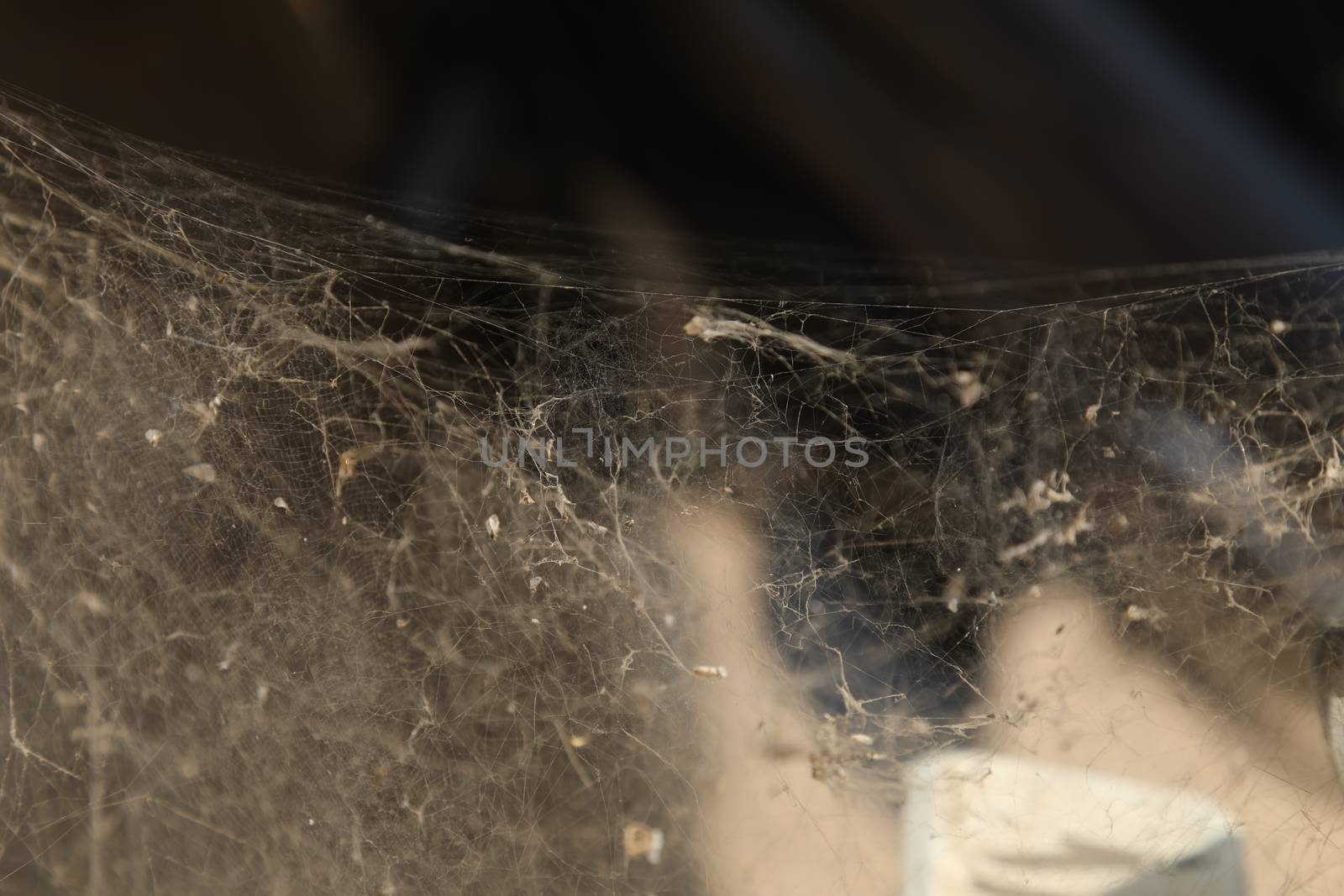 Scary Spider web by rajastills