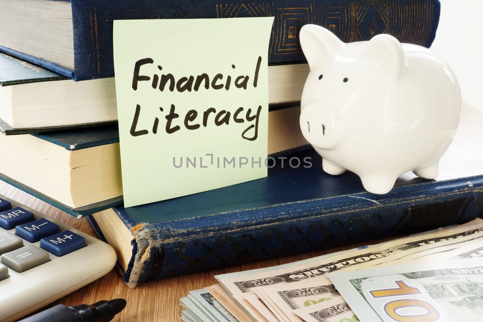 Financial Literacy written on a stick and piggy bank as savings symbol.