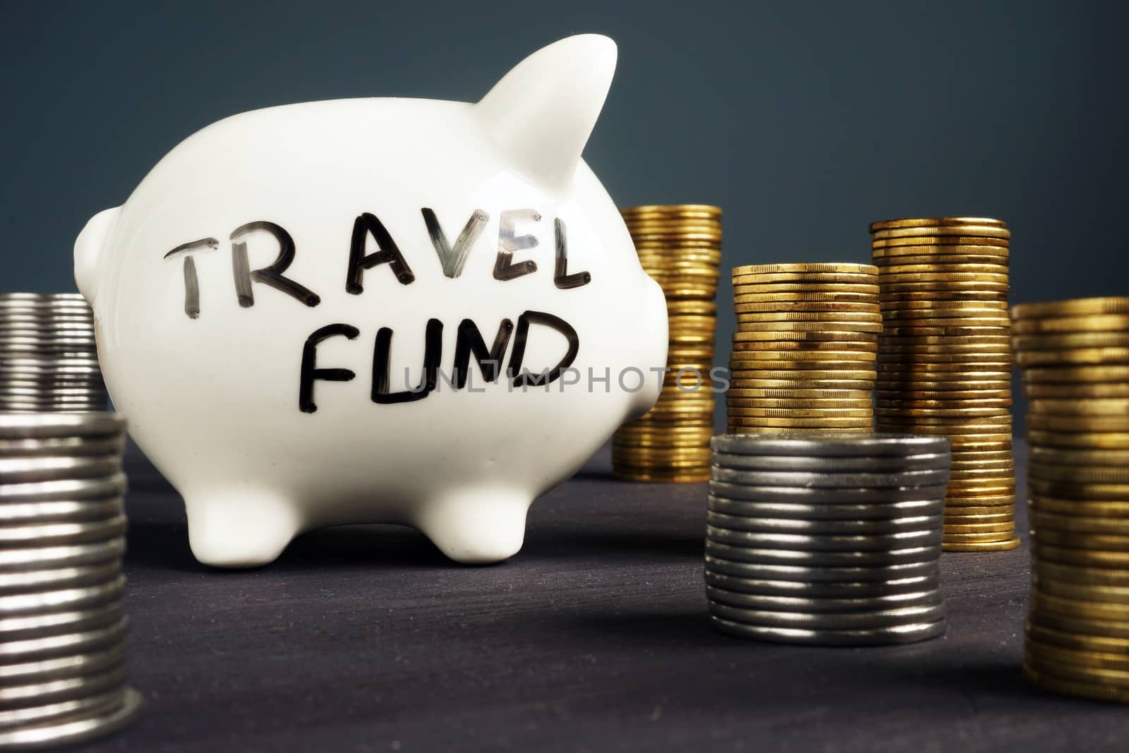 Travel fund. Piggy bank and coins. Money for vacation.