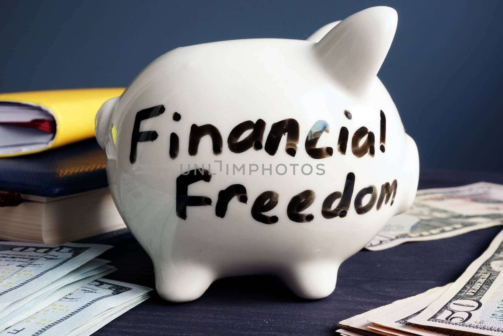 Financial freedom written on a side of piggy bank.
