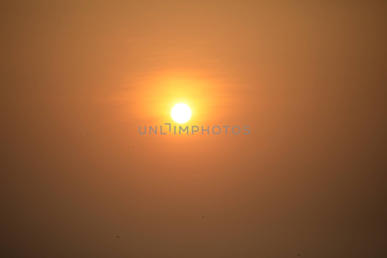 Beautiful Summer Sunset