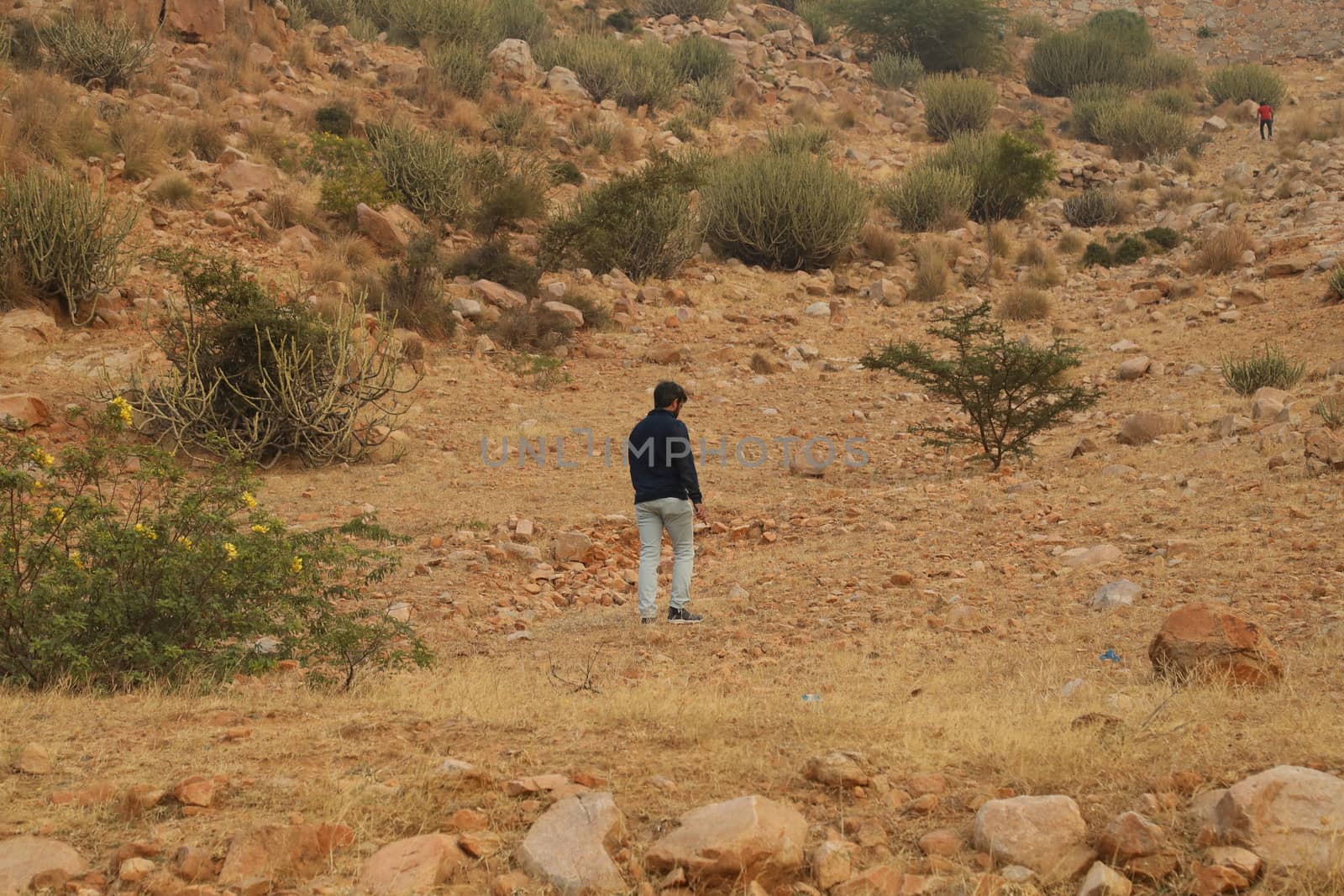 Rural area India