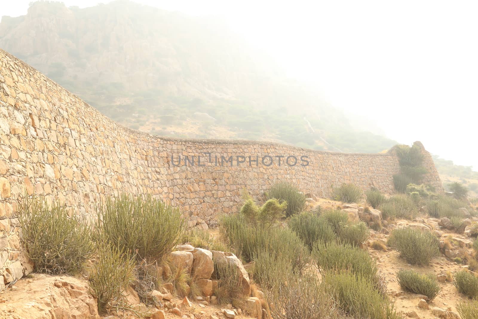 Heritage Fort at Rajasthan India