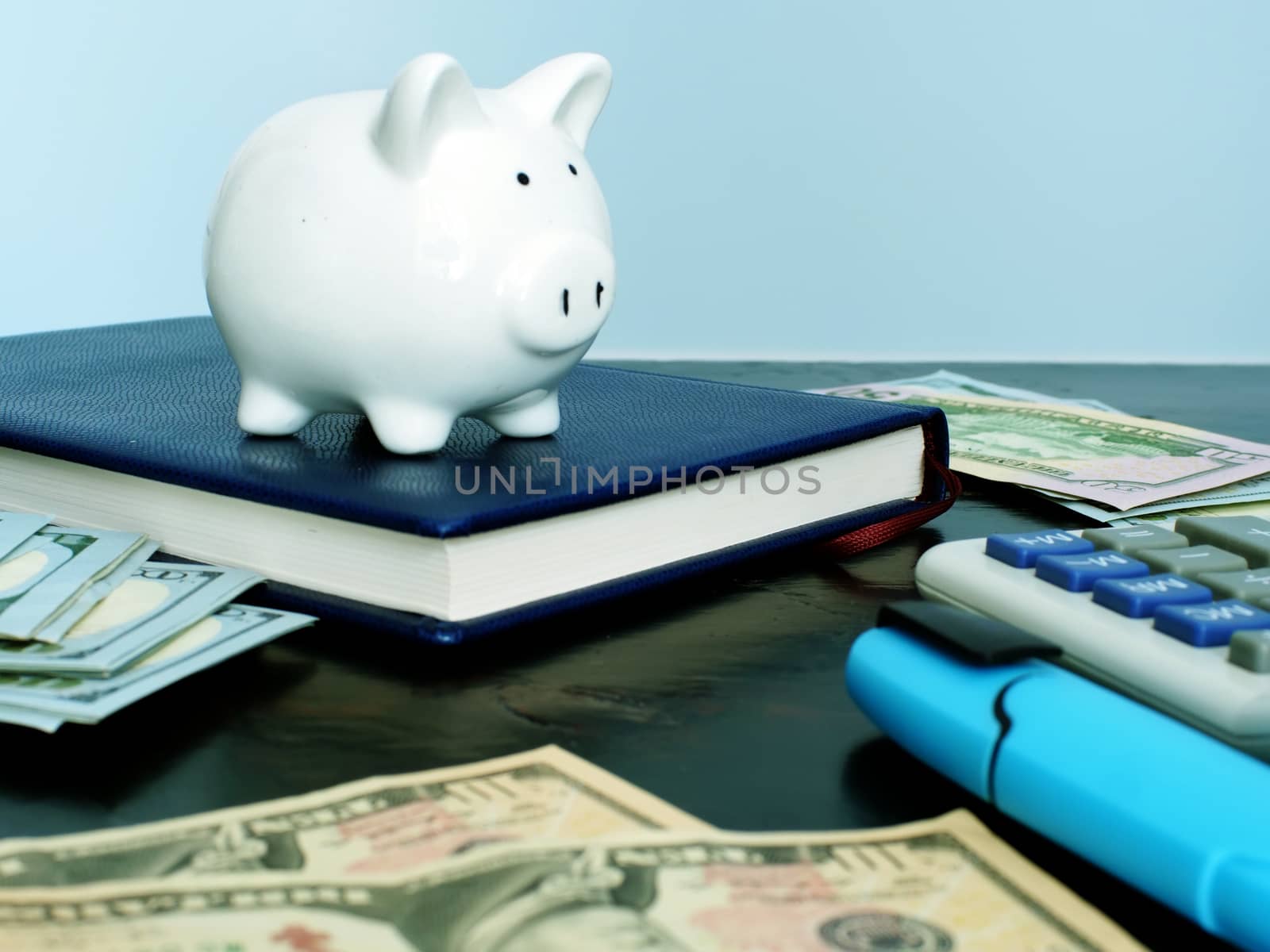 Personal savings and budget. Piggy bank and money.