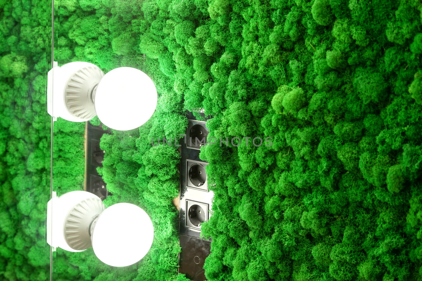 Wall with decorative green moss by sveter